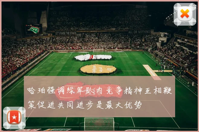 哈珀强调绿军队内竞争精神互相鞭策促进共同进步是最大优势